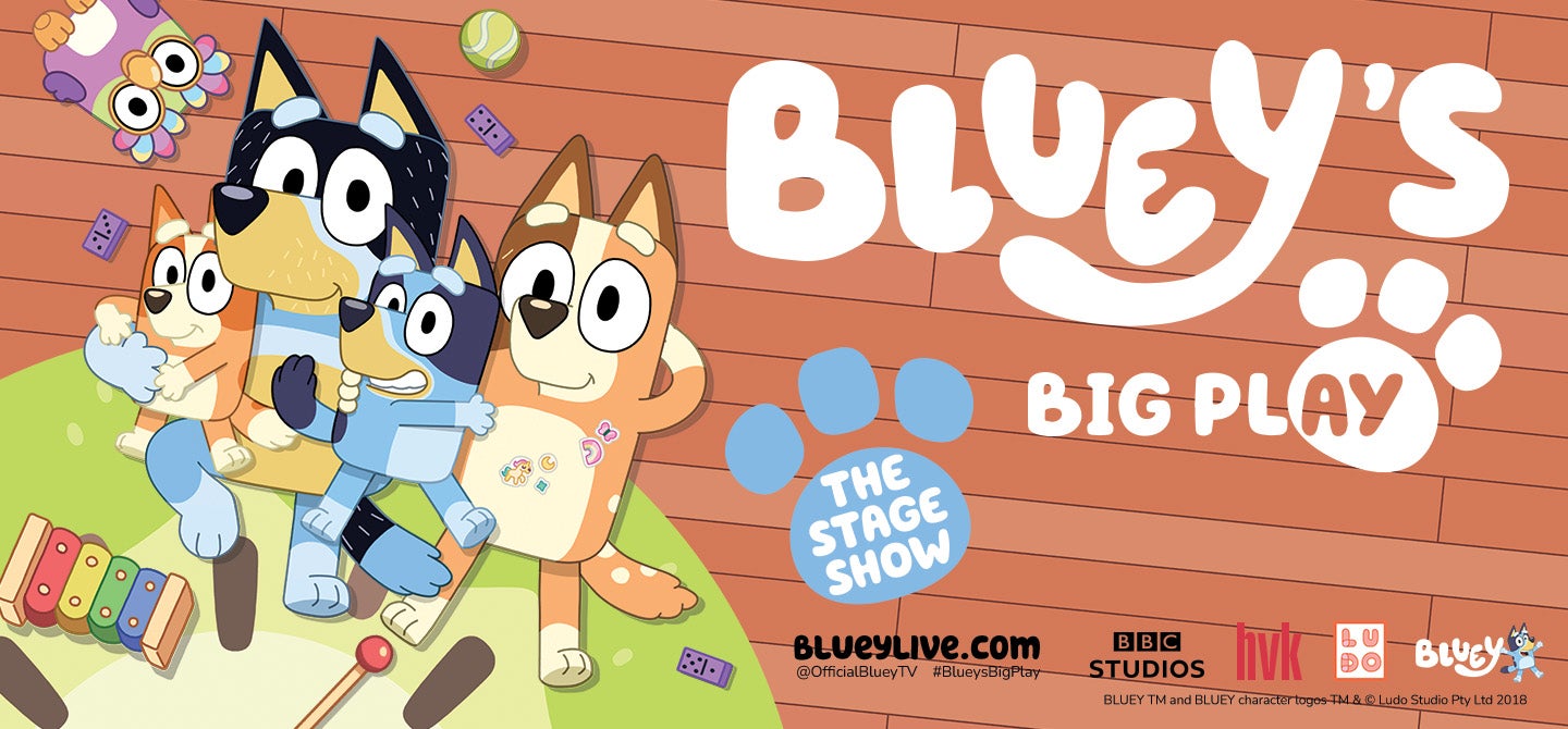 Bluey's Big Play