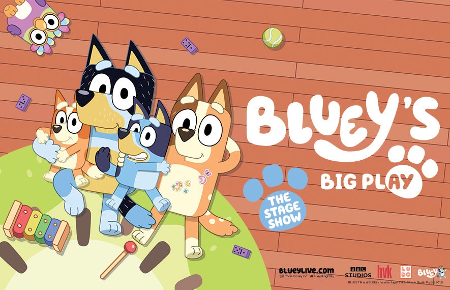 More Info for Bluey's Big Play
