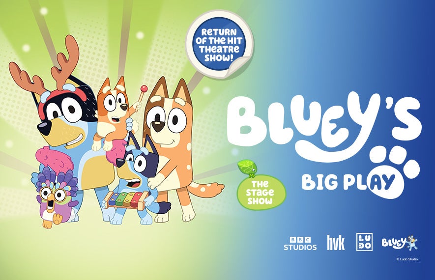 More Info for Bluey's Big Play