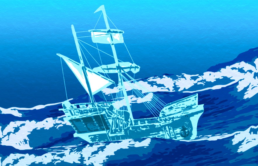 More Info for The Pirate Project